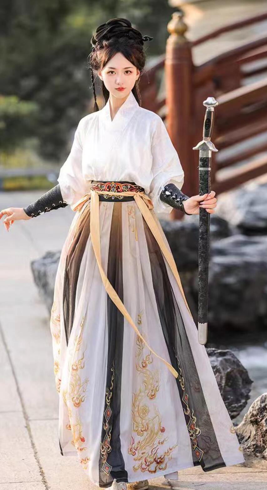 Chinese Song Dynasty Hanfu Traditional Wuxia Costumes Embroidery Swordswoman Clothing