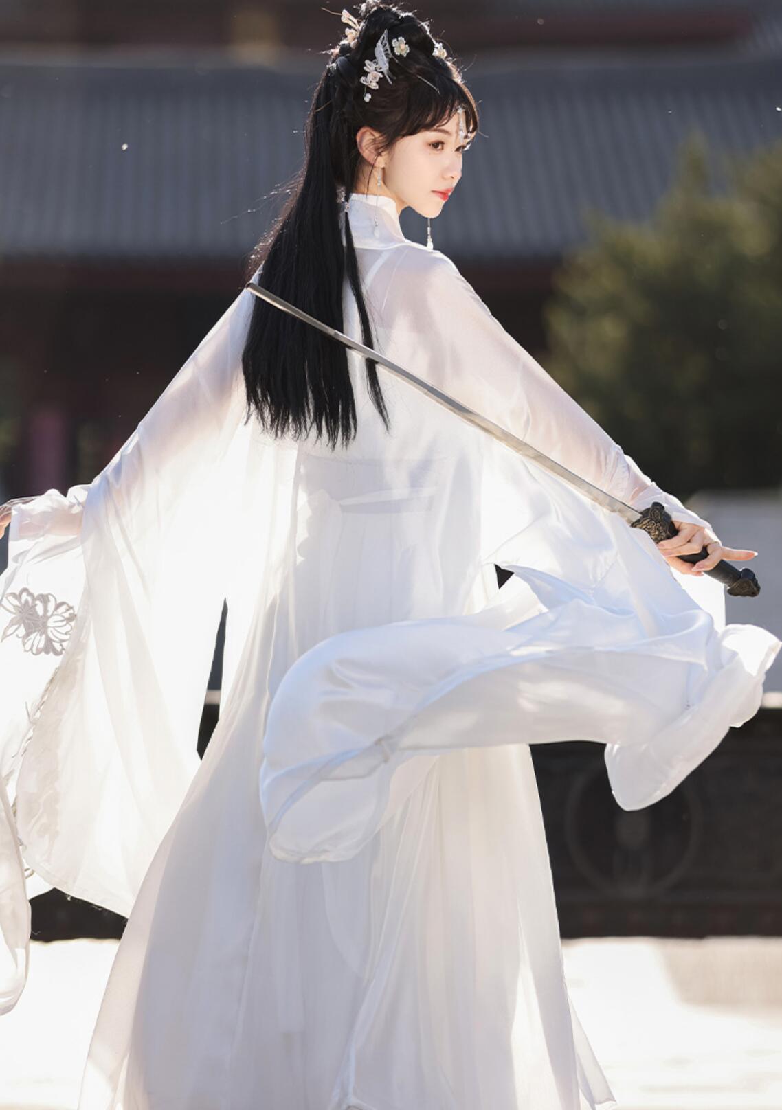 Song Dynasty Exquisite Hanfu Ancient Chinese Women Wide Sleeves Fairy Dress Traditional Ruqun