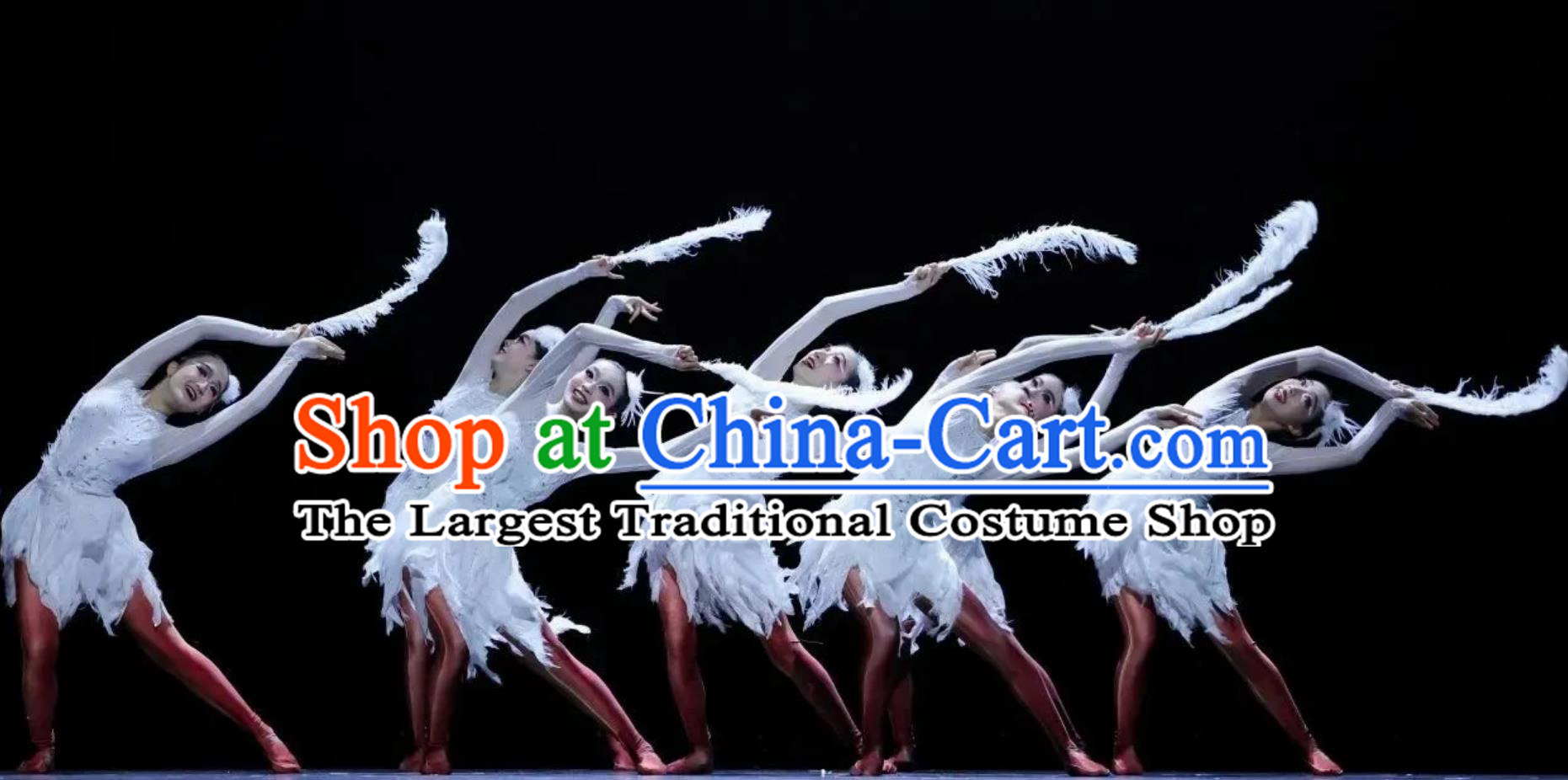 Xiao He Feng Cai Dance Costume Children Group Dance Feather Dance Costume Swan Dance Dress