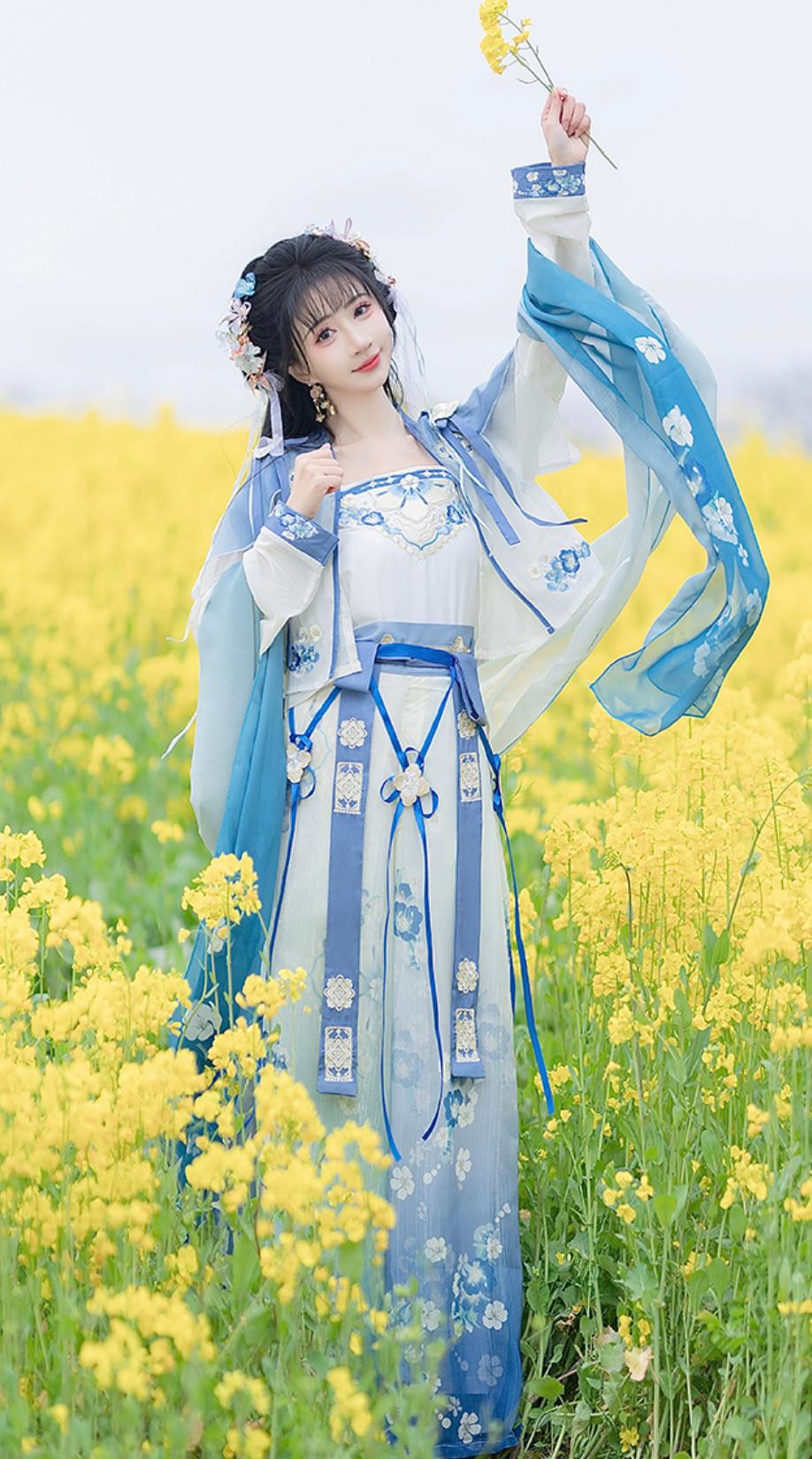 Chinese Song Dynasty Hanfu Women High Waist Skirt Top and Blouse Ancient Fairy Blue Dress
