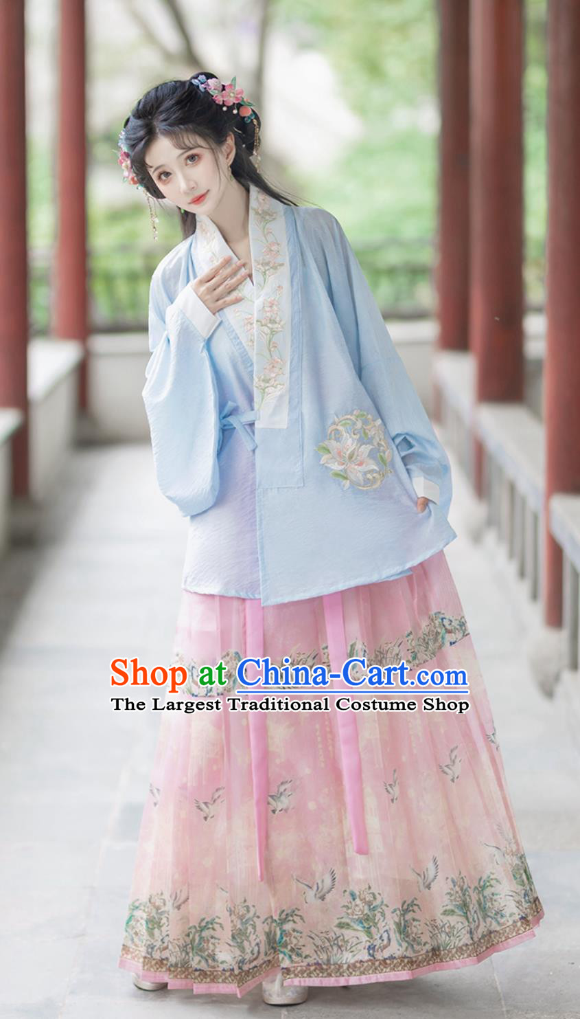 Ming Dynasty Hanfu Women Blue Blouse and Horse Face Skirt Set Spring Summer Chinese Ancient Style Clothing