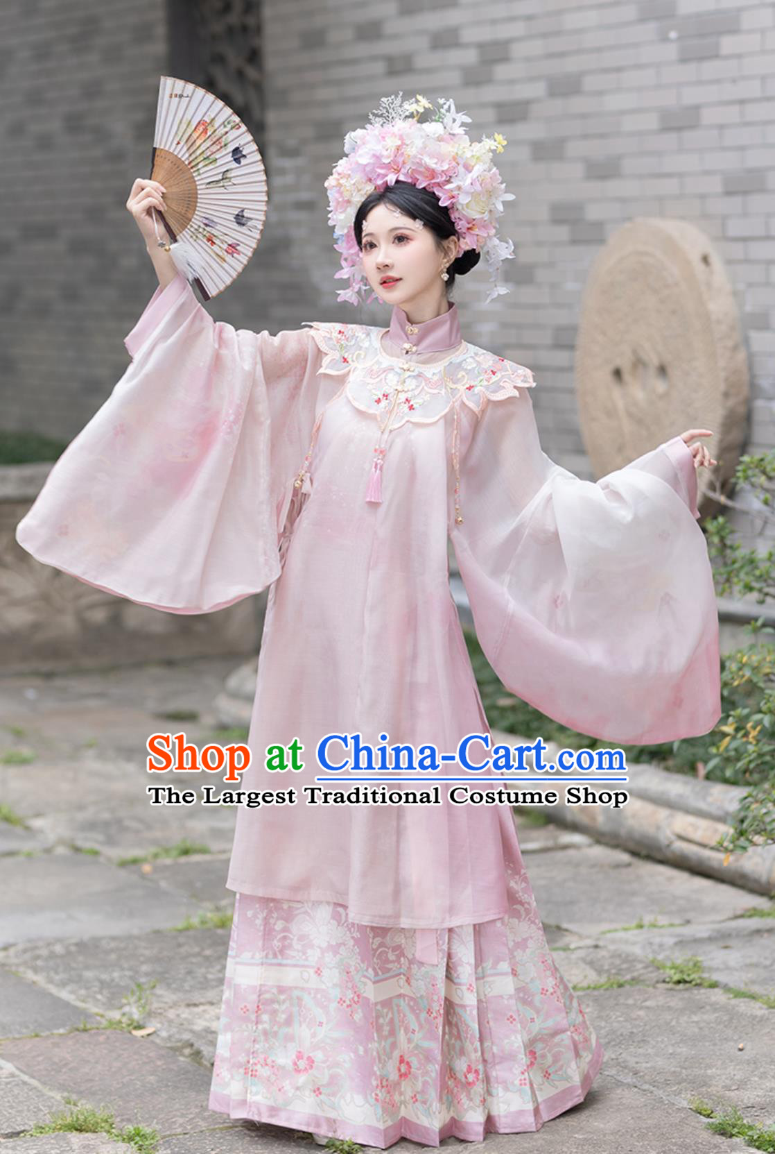 Traditional Chinese Attire Ming Dynasty Hanfu Women Cloud Collar Long Gown Horse Face Skirt Complete Set