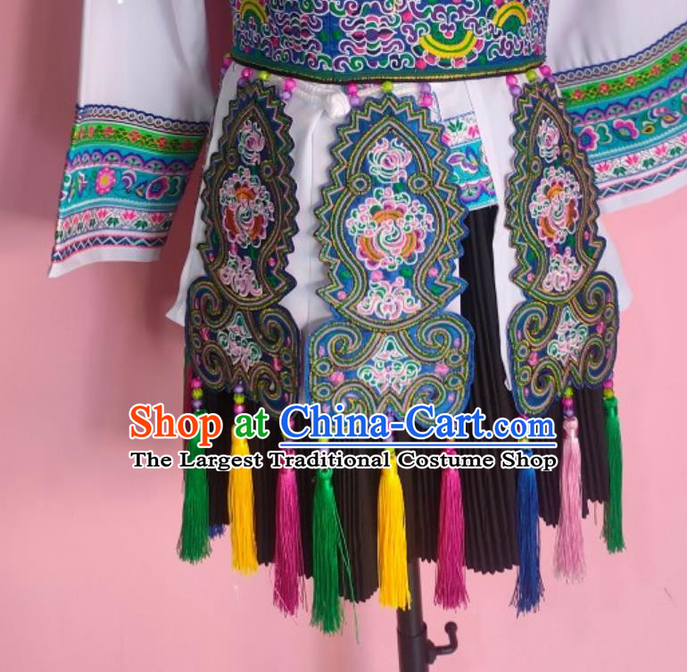Chinese Performance Dance Dress Dong Nationality Golden Pheasant Suit Ethnic Costume