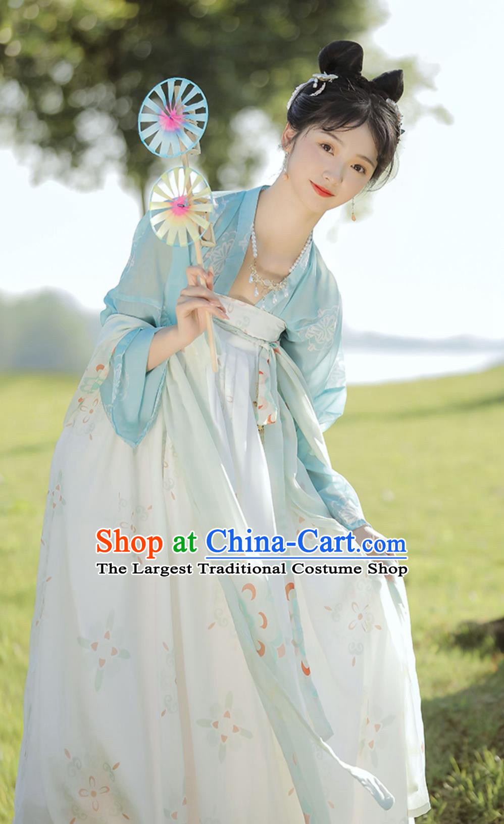 Chinese Ancient Women Costume Traditional Qi Xiong Ru Qun Tang Dynasty Hanfu