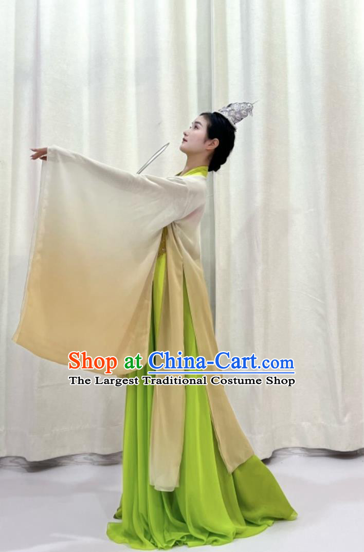 Chinese Female Classical Dance Costume For Moth Ornament And Snowy Willow Repertoire Group Dance Performance Attire Han Tang Dance Dress