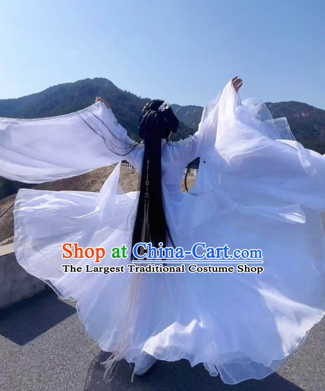 Elegant Chinese Dance Hanfu Wide Sleeve Stage Outfit Guzheng Player Performance Gown