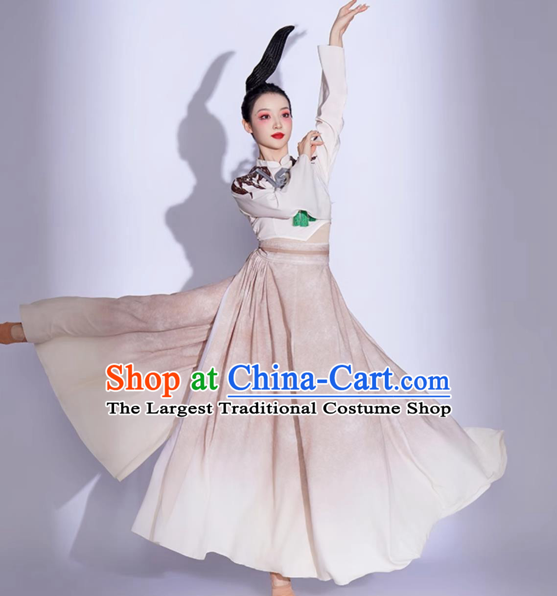 Women Elegant Chinese Style Jade Bird Dance Outfit Classical Dance Costume Art Exam Fan Dance Performance Wear