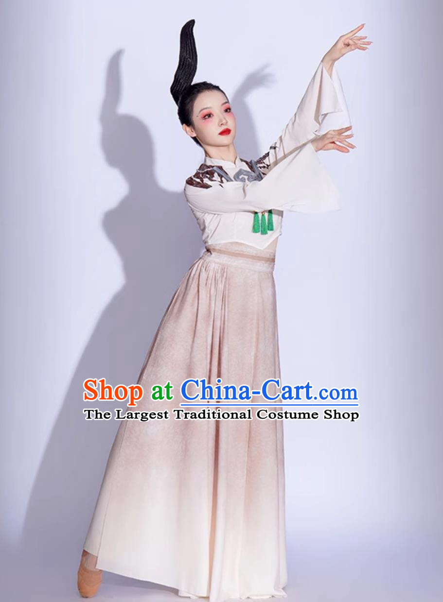 Women Elegant Chinese Style Jade Bird Dance Outfit Classical Dance Costume Art Exam Fan Dance Performance Wear