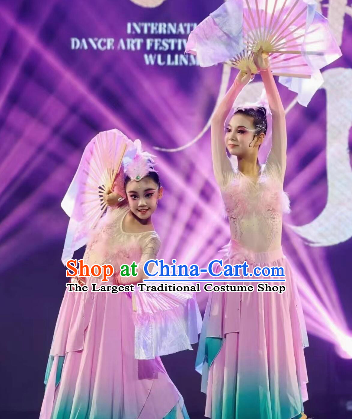 Jiaozhou Dance Costume Forest Bird Tale Classical Dance Yangko Performance Costume Chinese Stage Performance Dress