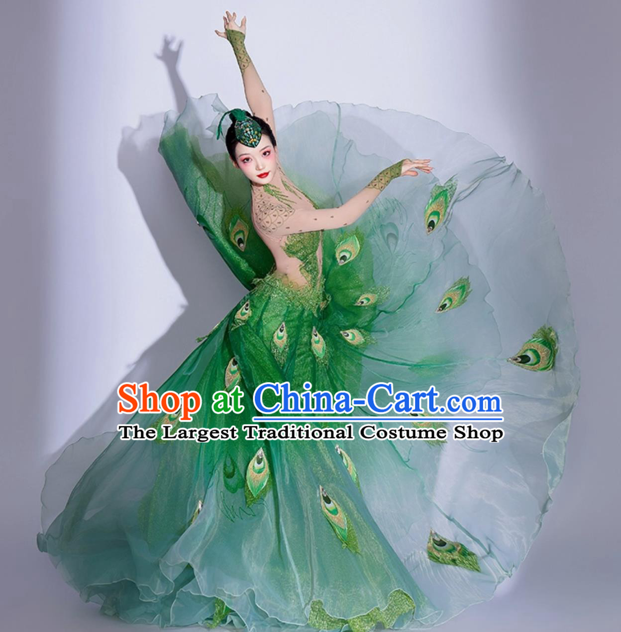 Green Peacock Dress Yang Liping Peacock Dance Costume Spirit Of Peacock Performance Clothing Chinese Dai Ethnic Dance Show Attire