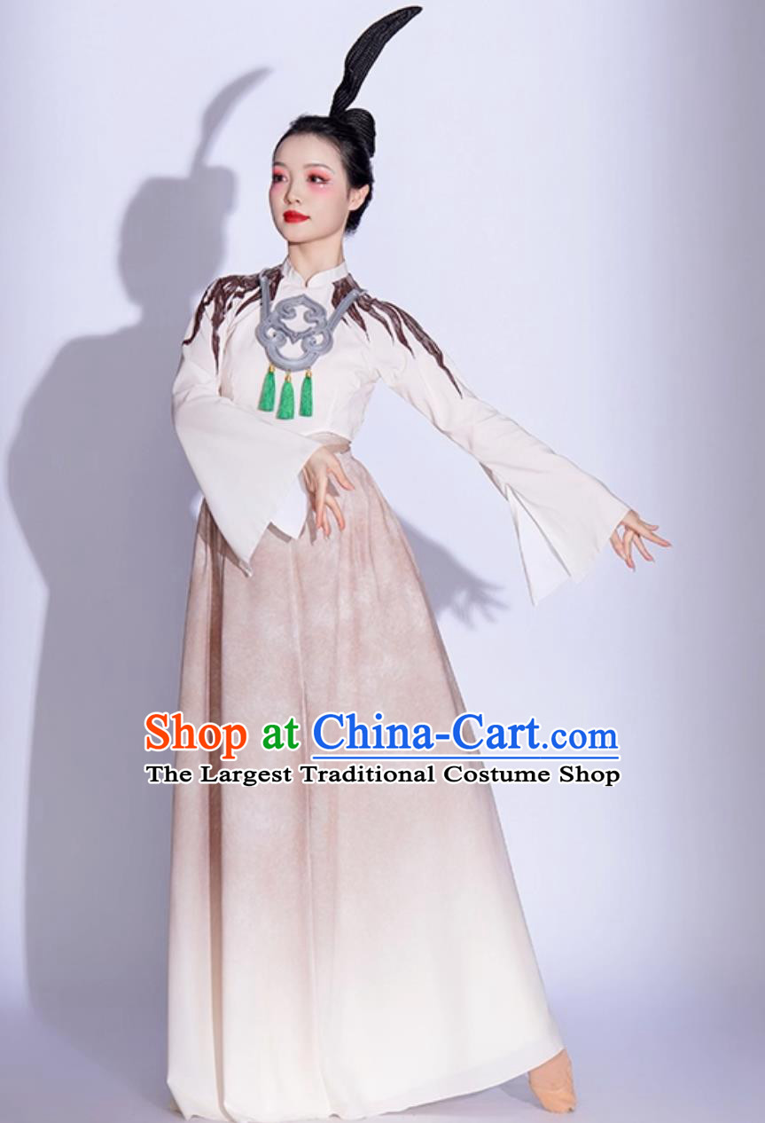 Chinese Classical Dance Costume Women Jade Bird Dance Attire Fan Dance Performance Dress