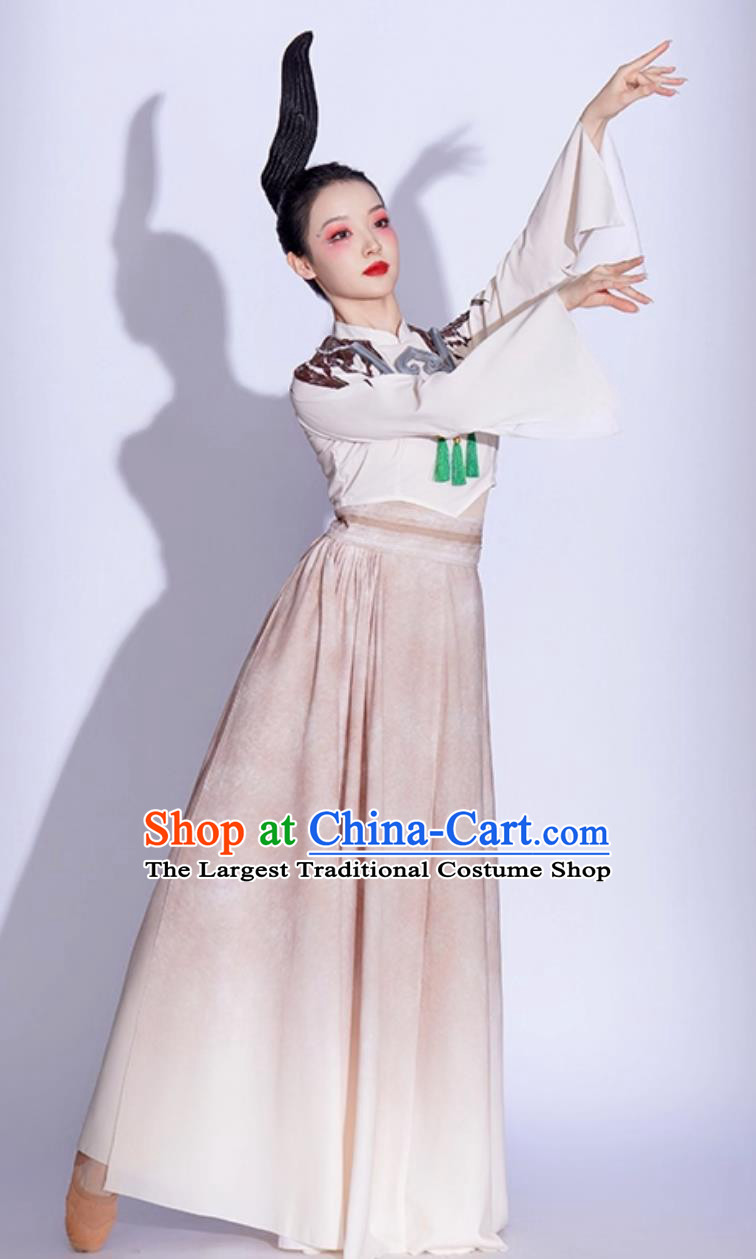 Chinese Classical Dance Costume Women Jade Bird Dance Attire Fan Dance Performance Dress