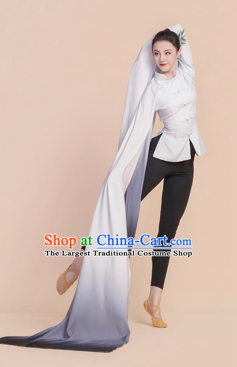 Classical Dance Performance Wear Professional Opera Water Sleeves Chinese Dance Practice Costume