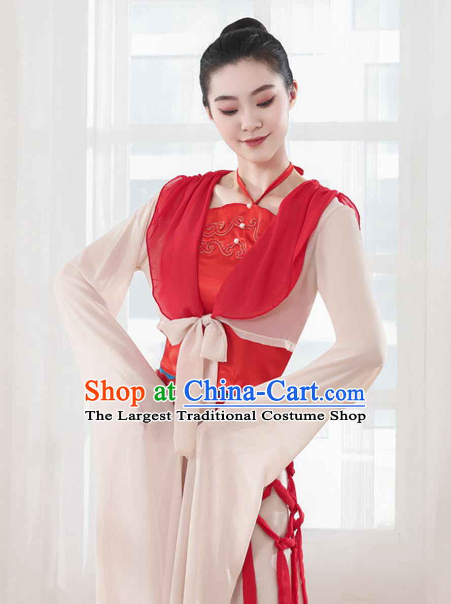 Chinese Classical Dance Costume Women Shengshi Yange Performance Dress Traditional Han Tang Dynasty Water Sleeve Outfit