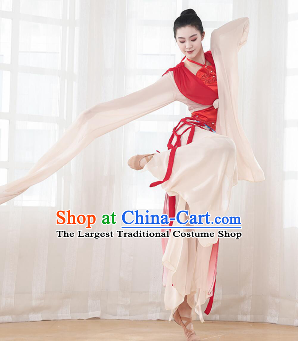 Chinese Classical Dance Costume Women Shengshi Yange Performance Dress Traditional Han Tang Dynasty Water Sleeve Outfit