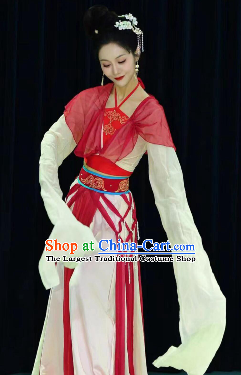 Dream Startles The Swan Classical Dance Costume Divination Tang Water Sleeve Performance Dress Chinese Women Hanfu Stage Outfit