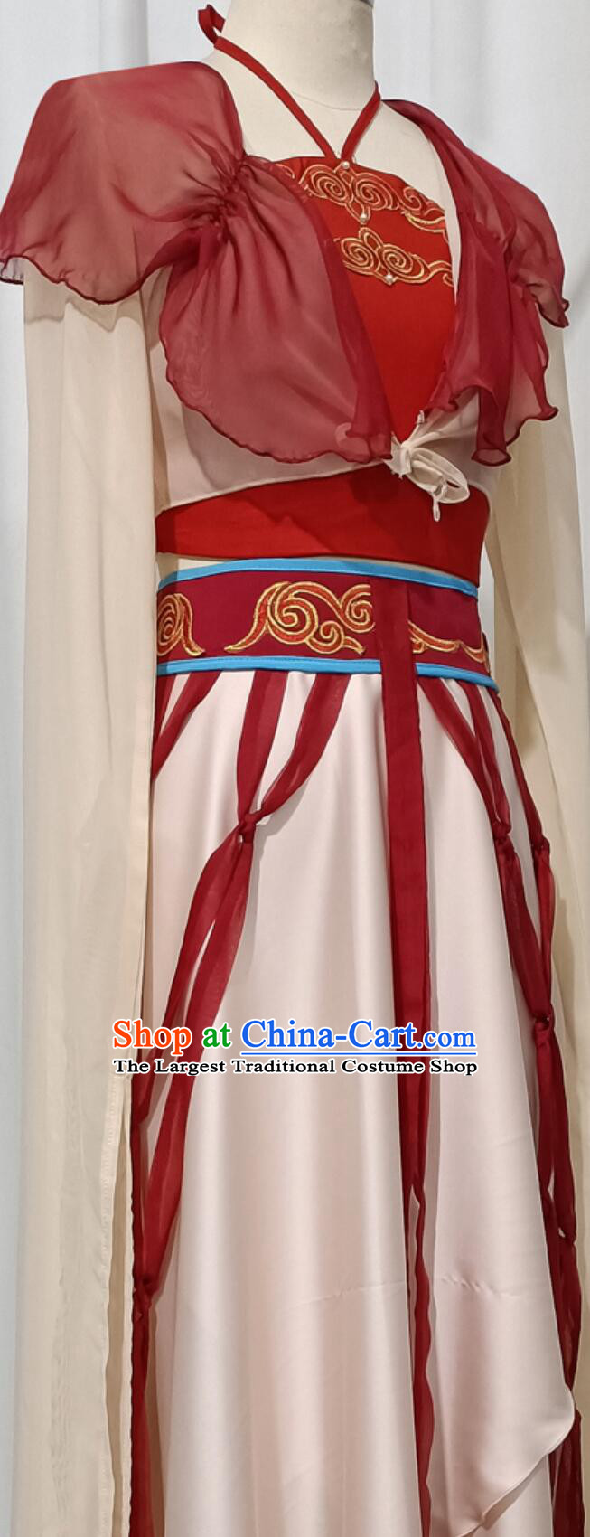 Dream Startles The Swan Classical Dance Costume Divination Tang Water Sleeve Performance Dress Chinese Women Hanfu Stage Outfit