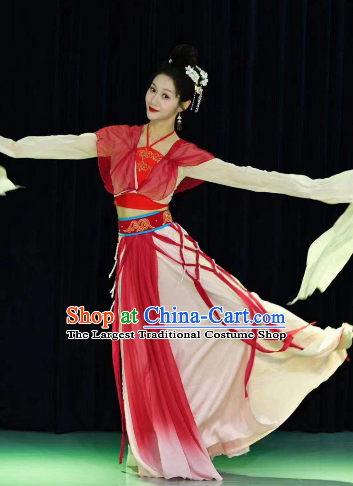 Dream Startles The Swan Classical Dance Costume Divination Tang Water Sleeve Performance Dress Chinese Women Hanfu Stage Outfit