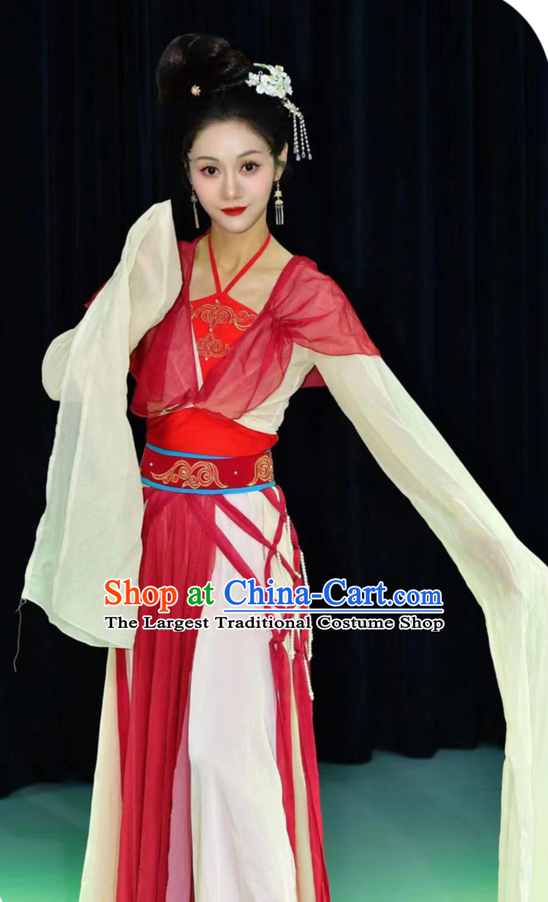 Dream Startles The Swan Classical Dance Costume Divination Tang Water Sleeve Performance Dress Chinese Women Hanfu Stage Outfit