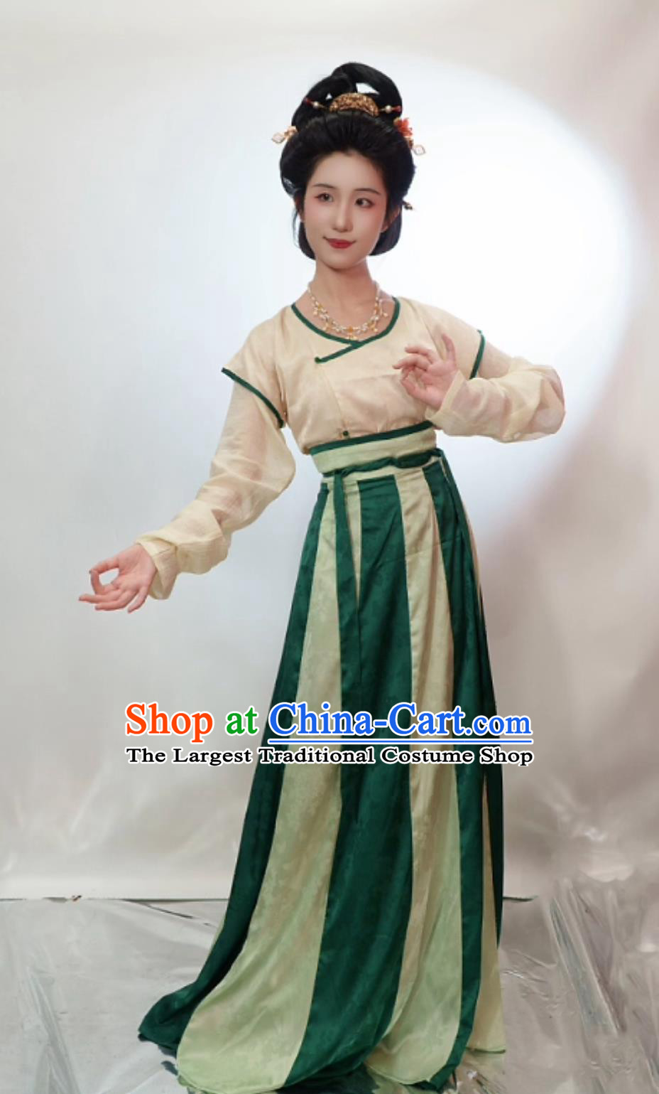 Chinese Historical Reproduction Clothing Traditional Costumes Early Tang Dynasty Cross Collar Shirt BeiZi Eighteen Gored Skirt Complete Set
