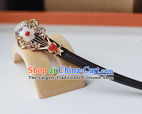 Handmade Chinese Classical Lute Hair Clip Traditional Hair Accessories Ancient Hanfu Ebony Hairpins for Women