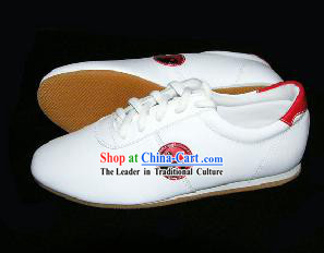 Chinese Professional Taiji Shoes _ White Shoes