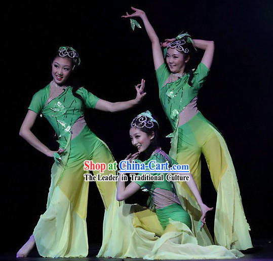 Chinese Traditional Dance Costumes and Hair Decoration Complete Set