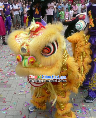Supreme Children Lion Dance Costumes Complete Set