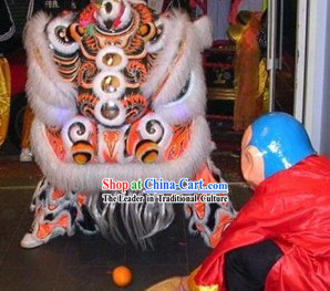 Professional Luminous Chinese Lion Mask and Costumes Complete Set