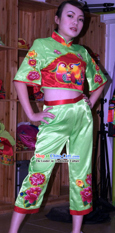 Traditional Chinese Mandarin Ducks Han Minority Dance Costume for Women