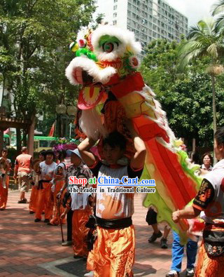 One Kid FUT SAN Lion Dance Costumes