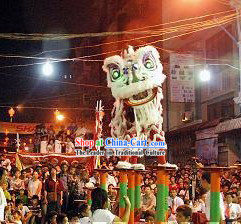 Competition and Parade Lion Dance Costume Complete Set