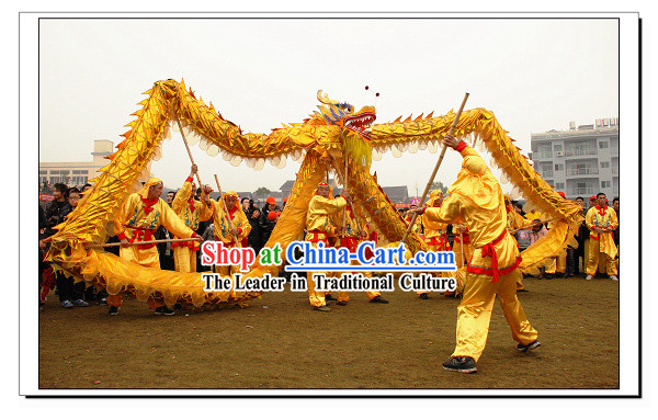 Happy Festival Celebration Chinese Shinning Dragon Dance Costumes Complete Set