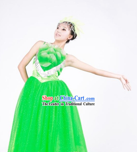 Chinese Green Leaf Dance Costumes for Women