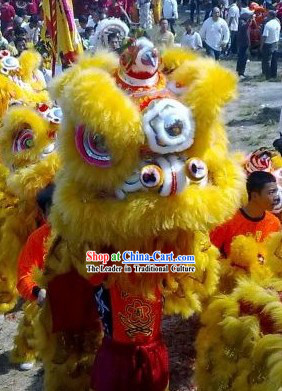 Supreme Long Wool Yellow Lion Dance Costumes Complete Set