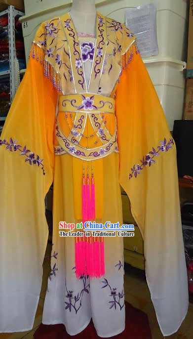 Traditional Chinese Opera Long Sleeve Dance Costume for Women