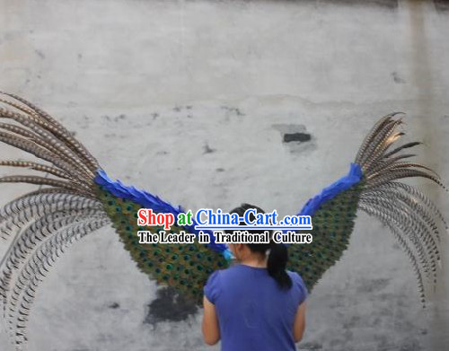Big Angel Butterfly Wings Peacock Show Props
