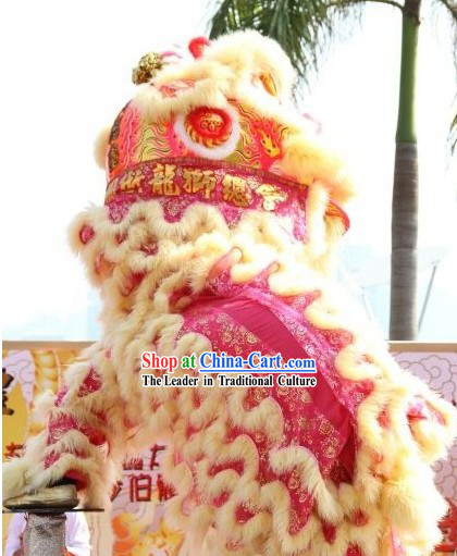 Supreme Lucky Business Opening Dragon Fabric Lion Dance Costume Complete Set