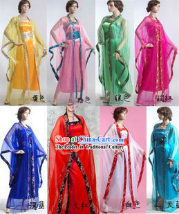 Tang Dynasty Gu Zhuang Costumes for Women