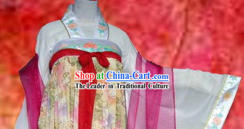 Ancient Chinese Tang Dynasty Palace Dress for Women