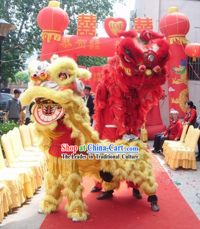 Traditional Chinese Wedding Lion Dance Prop Two Sets for Adults
