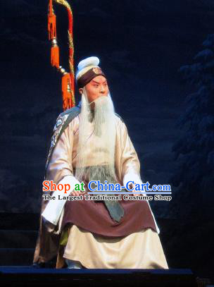 Su Wu In Desert Chinese Beijing Opera Shepherd Clothing Stage Performance Dance Costume and Headpiece for Men