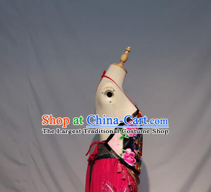 Chinese A Glimpse of the Beauty Folk Dance Outfits Traditional Fan Dance Stage Performance Costume for Women