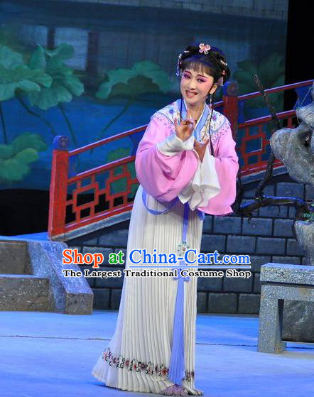 Chinese Shaoxing Opera Actress Dress Dream of the Red Chamber Yue Opera Costumes Apparels Maidservant Zi Juan Garment and Hair Jewelry