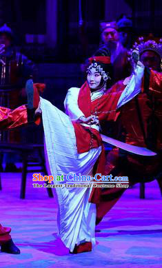 Chinese Beijing Opera Diva Zhu Lianxiu Apparels Costumes and Headpieces Traditional Peking Opera Young Female Dress Actress Garment
