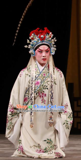 Bai Hua Zeng Jian Chinese Peking Opera Xiaosheng Garment Young Male Costumes and Headwear Beijing Opera Scholar Hai Jun Apparels Clothing