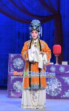 Chinese Shandong Opera Noble Lady Garment Costumes and Headdress Forced Marriage Traditional Lu Opera Hua Tan Apparels Diva Hong Meirong Dress