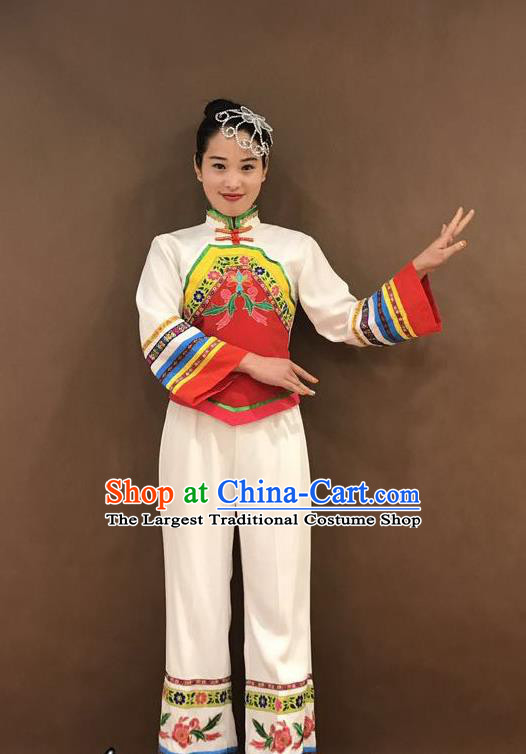 China Folk Dance Stage Performance Costume Yangko Dance Clothing