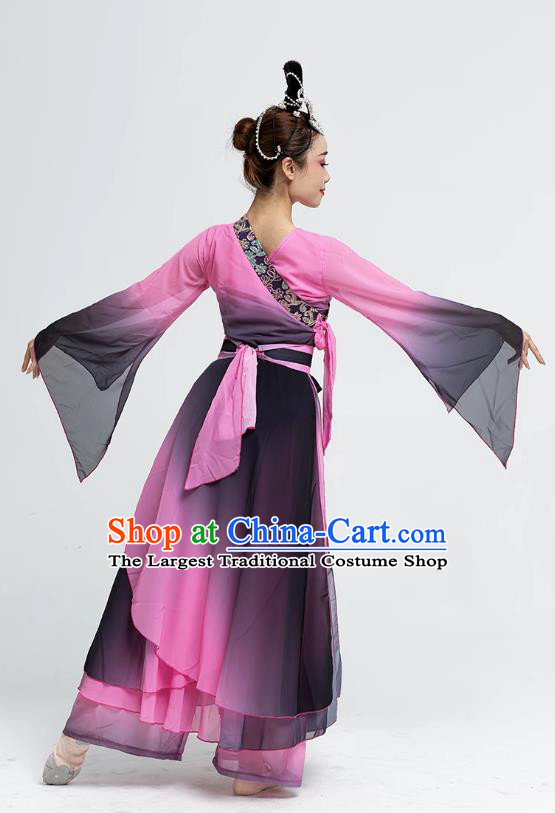 Chinese Woman Solo Dance Garment Costume Classical Dance Pink Dress Stage Show Clothing