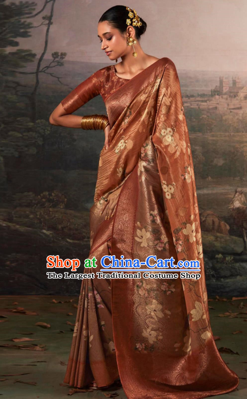 Indian Traditional Costume India Rust Red Sari Dress National Women Clothing